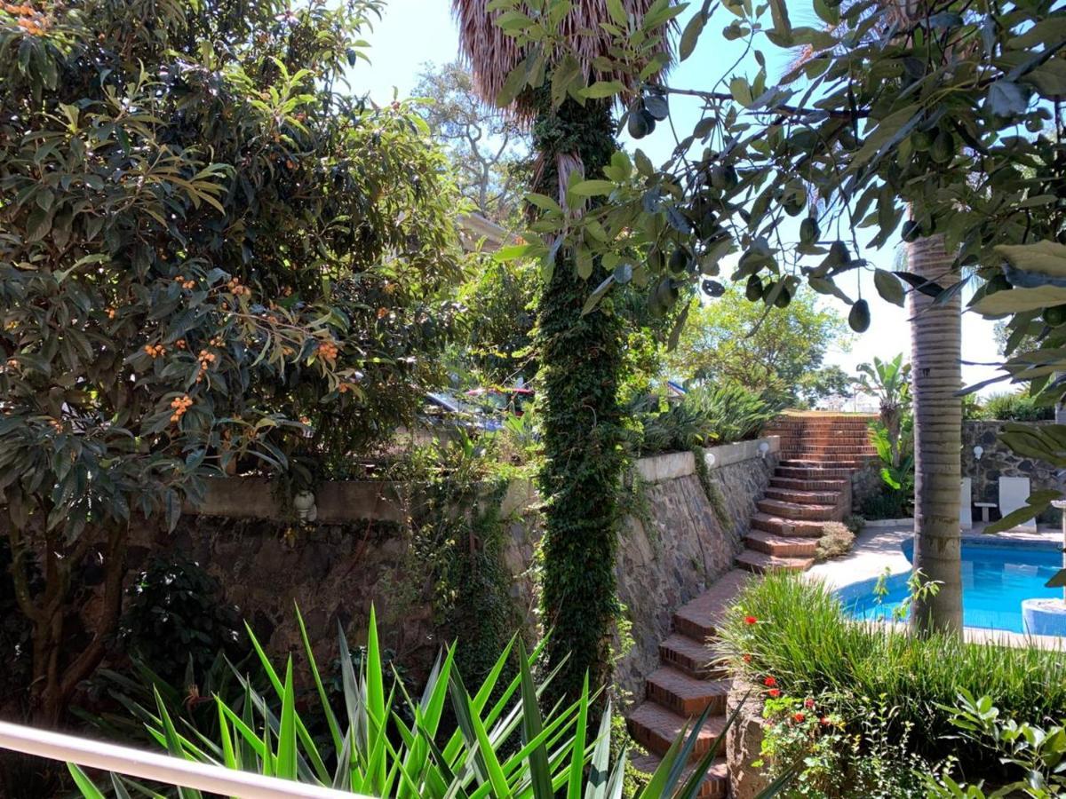 Hotel El Mirador Y Jardin 特拉亚卡潘 外观 照片